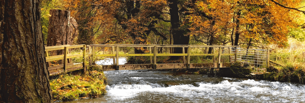 Beresford Dale