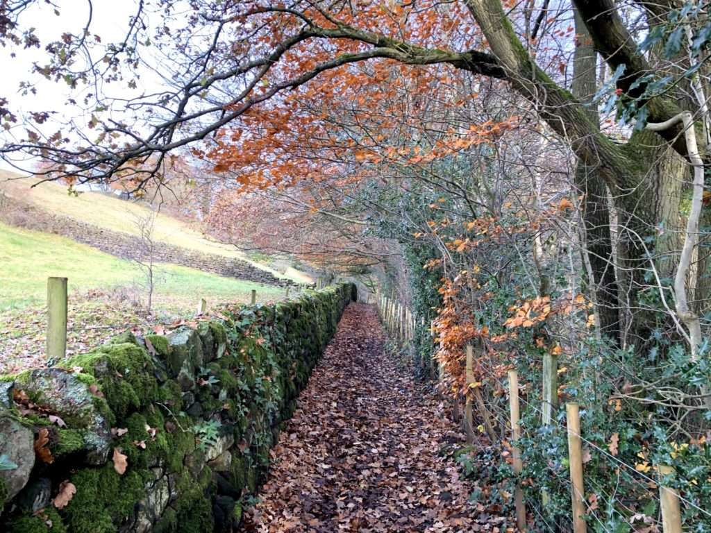 Lumsdale Walk