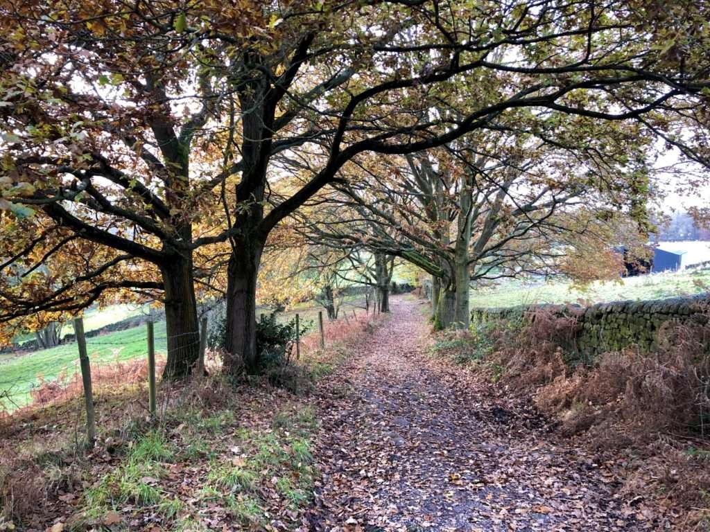Lumsdale Walk