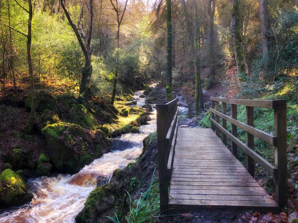 Riverside Walk Peak District Wyming Brook