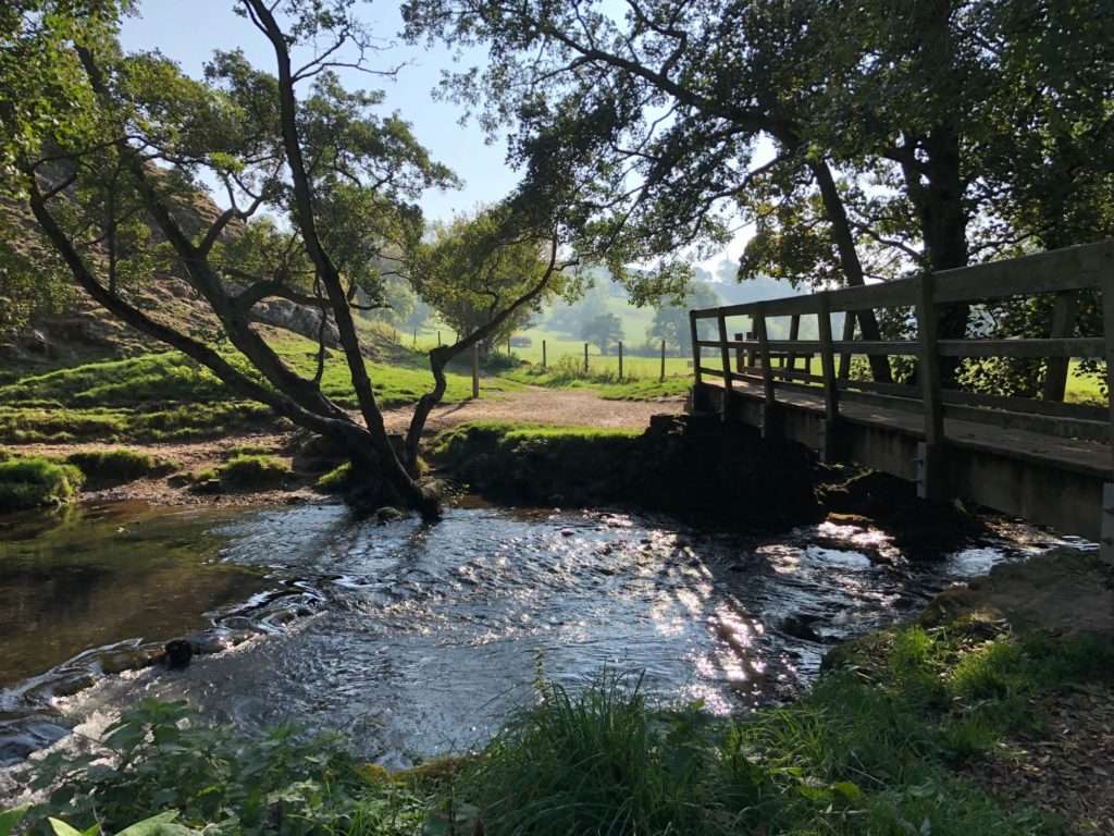Dovedale Riverside Walk
