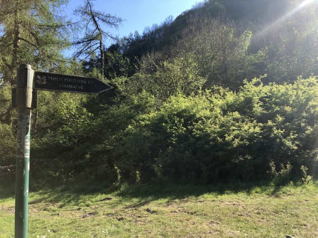 Dovedale Walk