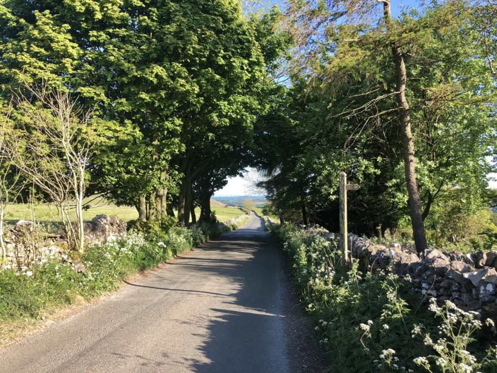 Dovedale Walk